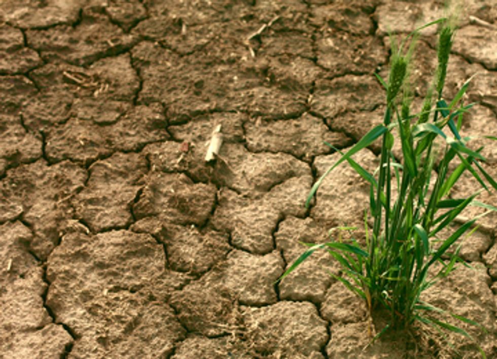 President Obama’s Climate Action Plan