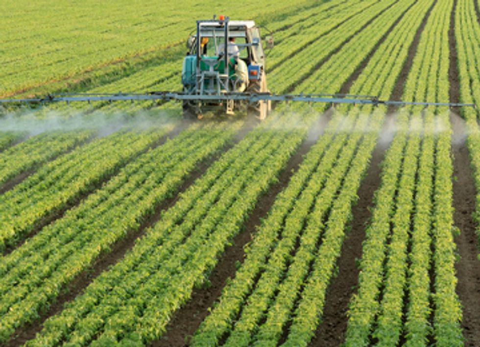 Genetically Engineered Crops Trigger Cycle of Superweeds and Toxic Pesticides