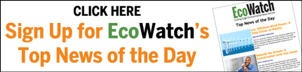 Toxic Dump to Expand in Low-Income Neighborhoods As Violations Persist