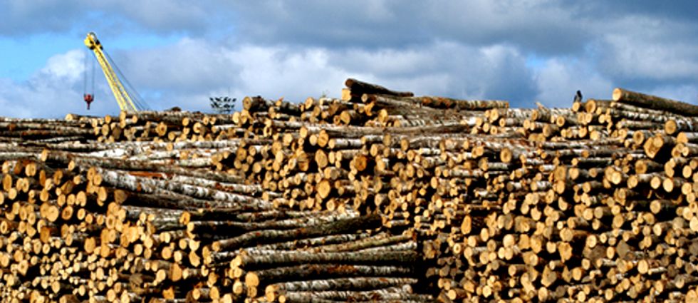 Carbon Offsets Could Create Loophole for Industry to Pollute as Usual