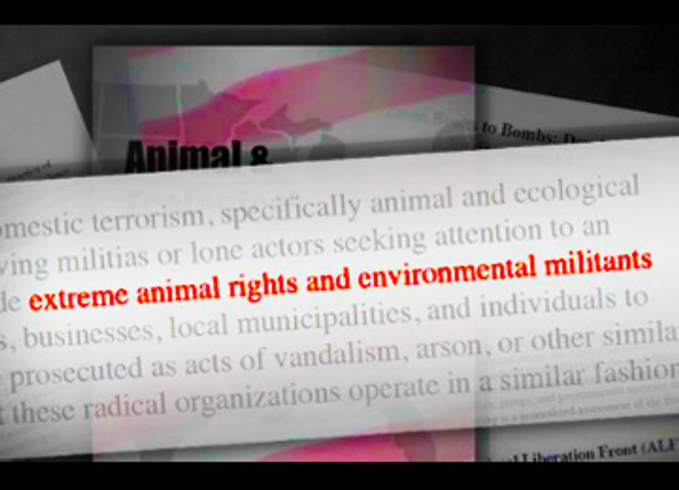 ALEC's Ag-Gag Laws Threaten Factory Farm Whistleblowers with Criminal Charges