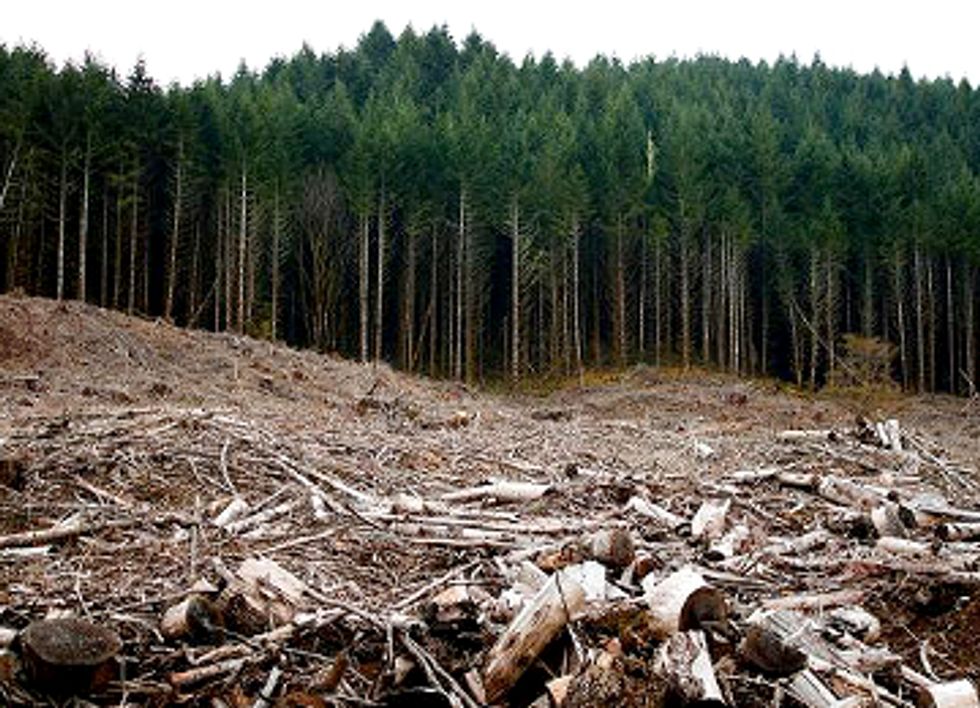 Federal Court Strikes Down EPA’s Biomass Pollution Loophole