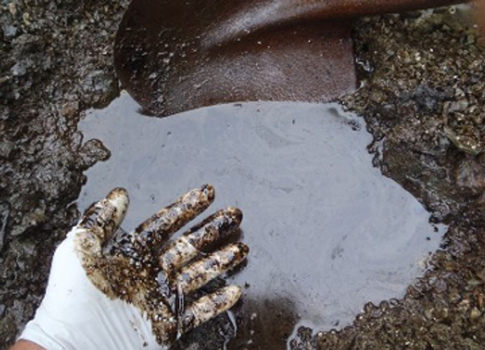 25 Years After Exxon Valdez Oil Spill, Recovery Plan Still Needed