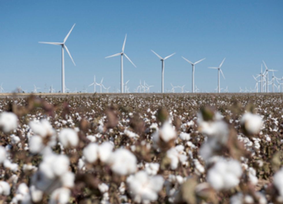 Renewable Energy Races Ahead as Nuclear and Fossil Fuels Falter