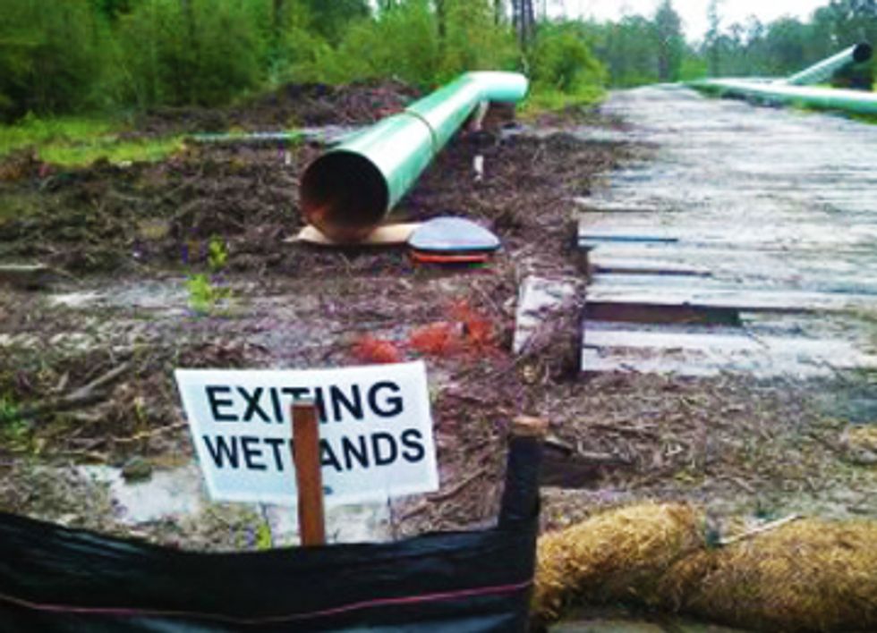 New Pipeline Threatens Wetlands in Gulf Coast Communities
