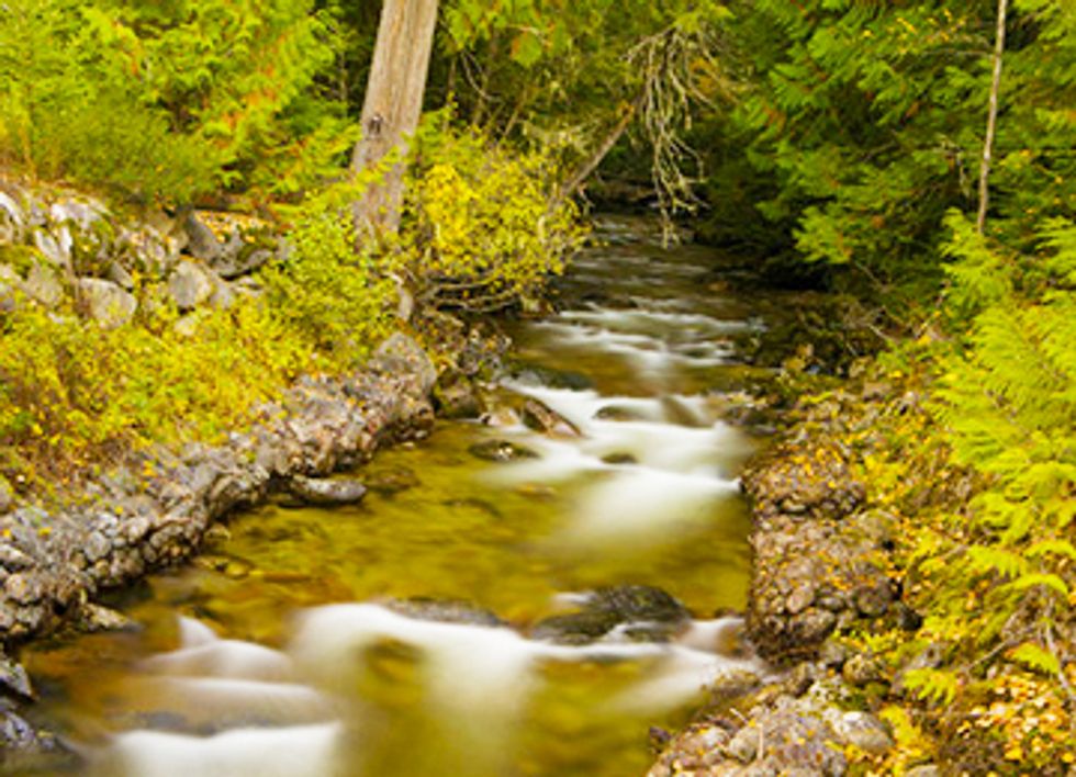 EPA Reversal Protects Pristine Yellowstone Waters