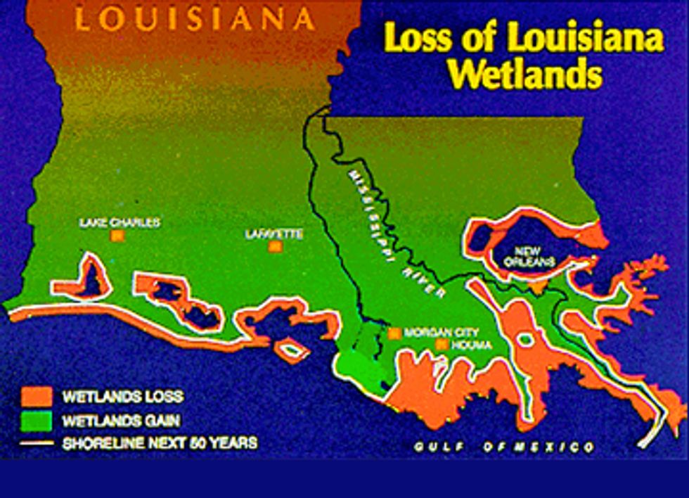Louisiana Sues Big Oil for Loss of Coastal Wetlands