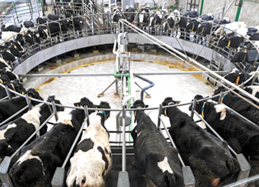 Coalition Sues NY State for Putting Industrial Milk Production Before Clean Water
