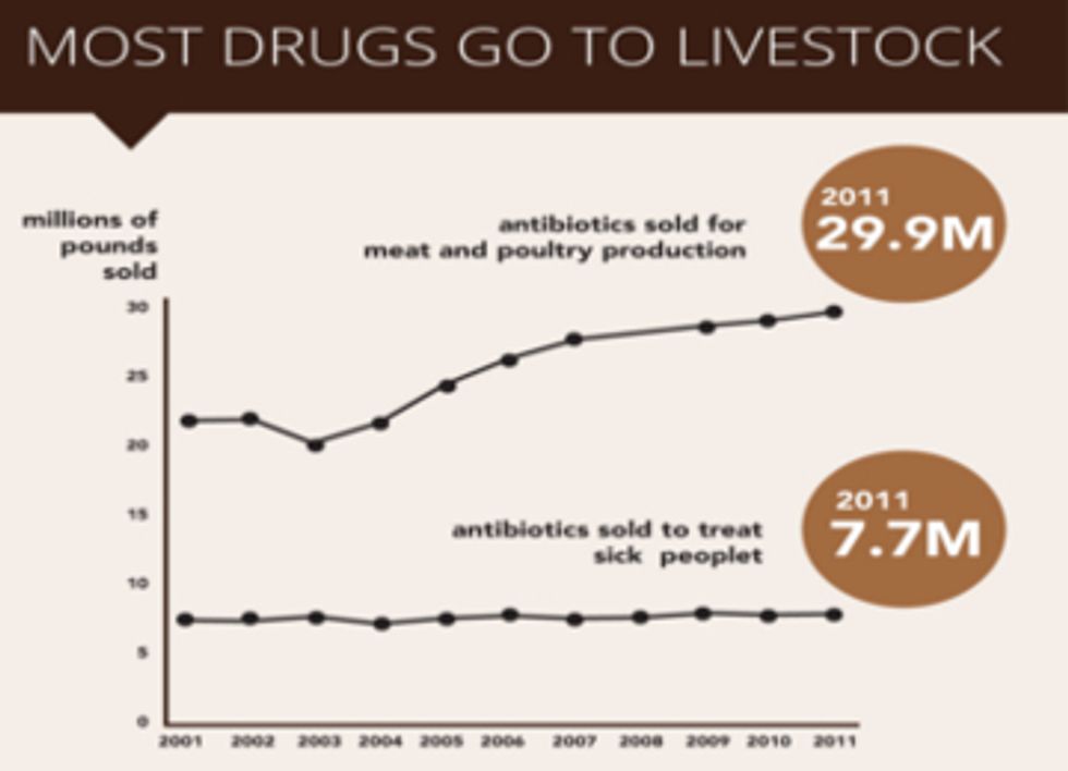 Bills Aim to Restrict Antibiotic Abuse by Factory Farms