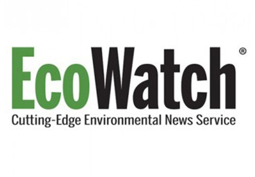 EcoWatch Is Hiring