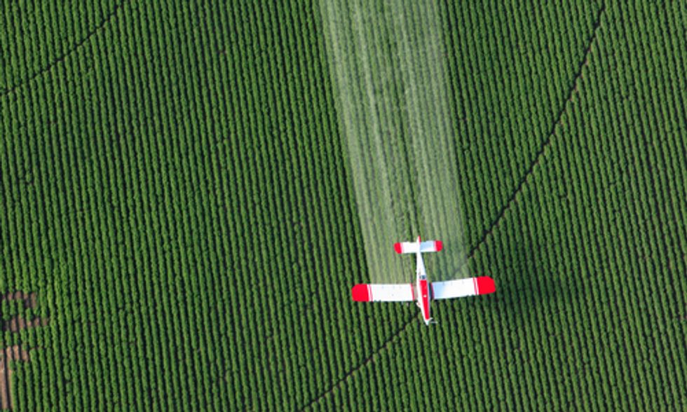 Brazil Seeks Ban on Monsanto Herbicide Due to Alarming Toxicity Risks