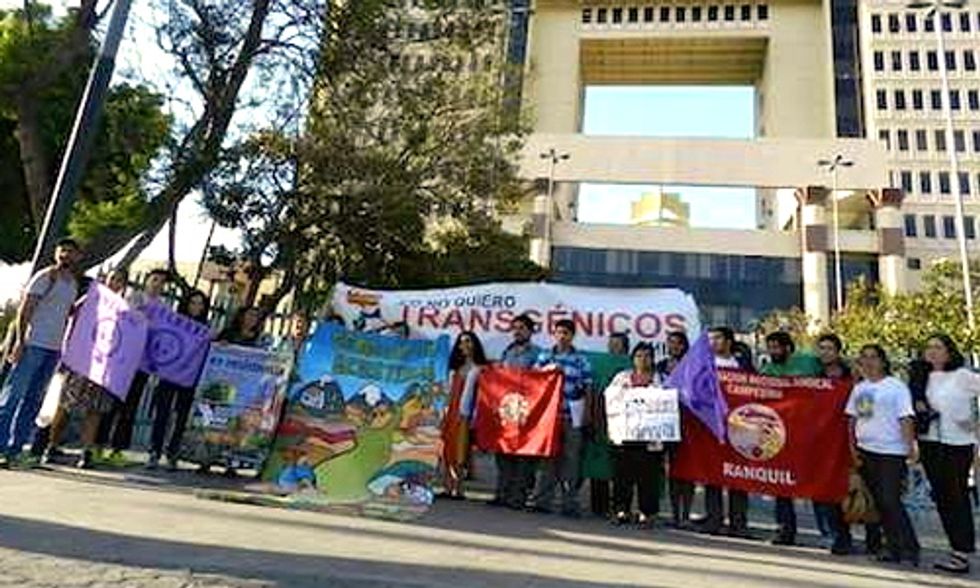 Chile Derails ‘Monsanto Law’ That Would Privatize Seeds