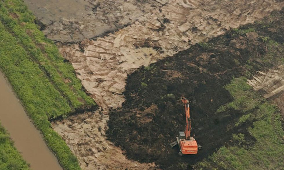 Eco Euphemisms That Confuse Our Understanding of Environmental Destruction