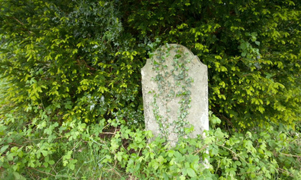 Dying to Give Back: The Green Burial Movement