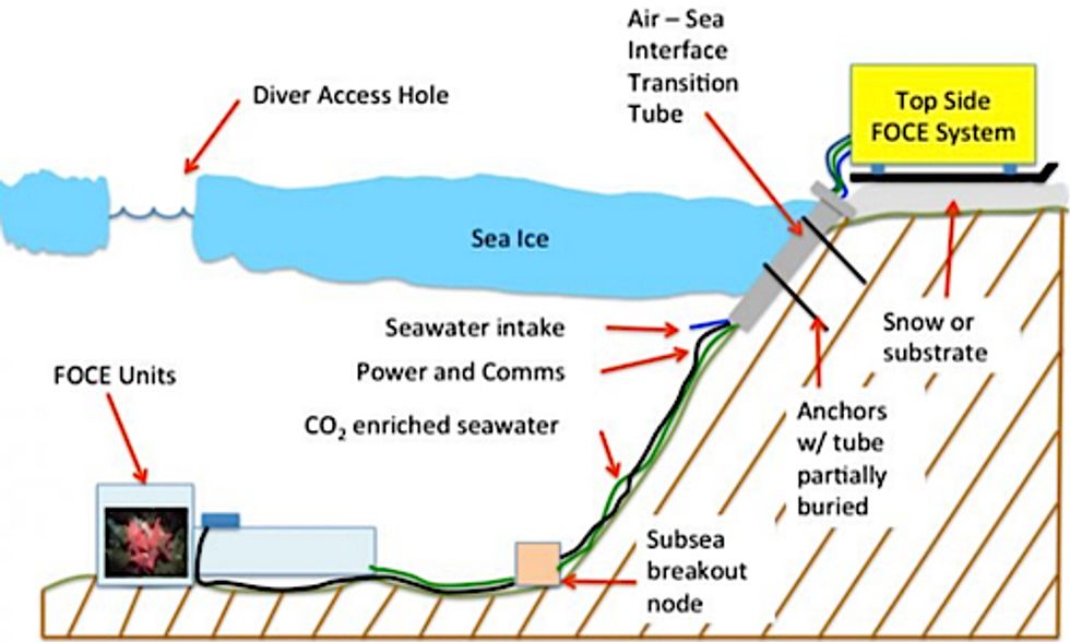 Scientists to Build Underwater Bio-Dome Simulating Future Ocean Acidification Levels