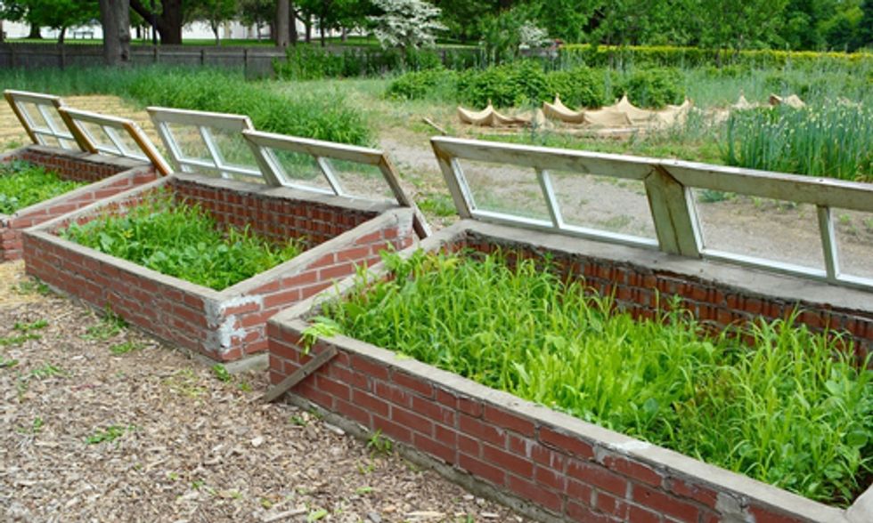 How to Use Cold Frames As a Year-Round Gardening Tool