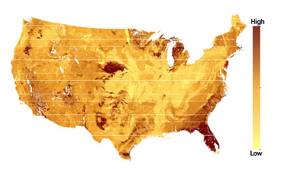 Deforestation in Sandy Ecosystems Increases Release of CO2