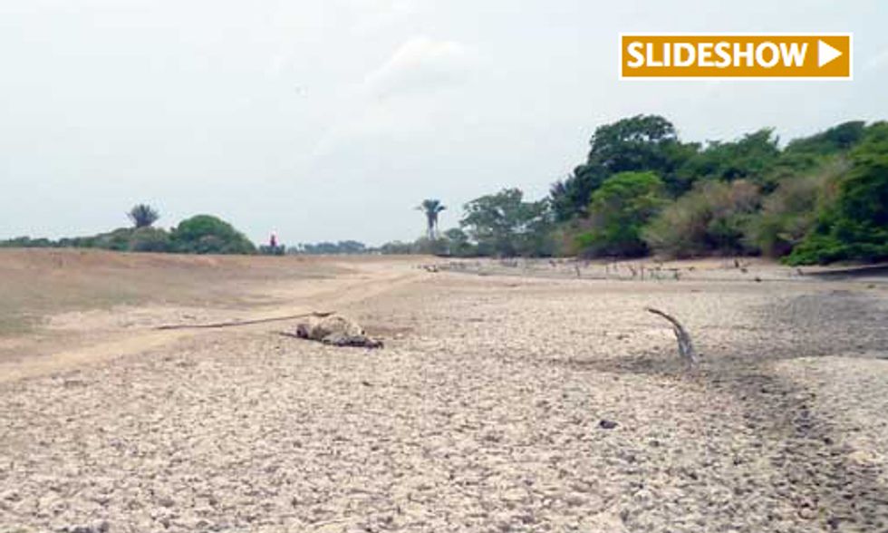 Extreme Drought Causes Environmental Crisis in Colombia