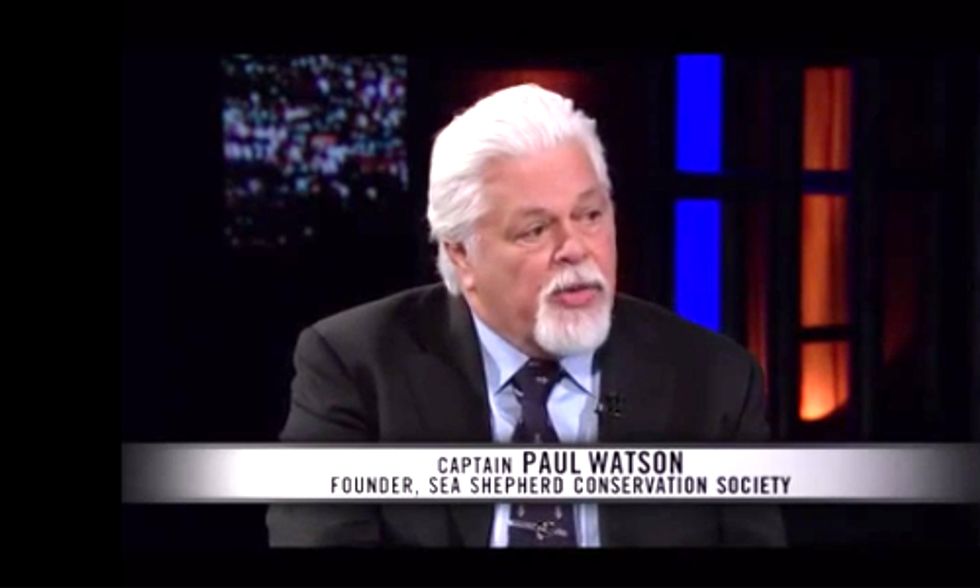 Sea Shepherd Founder to Bill Maher: ‘If Oceans Die, We Die'