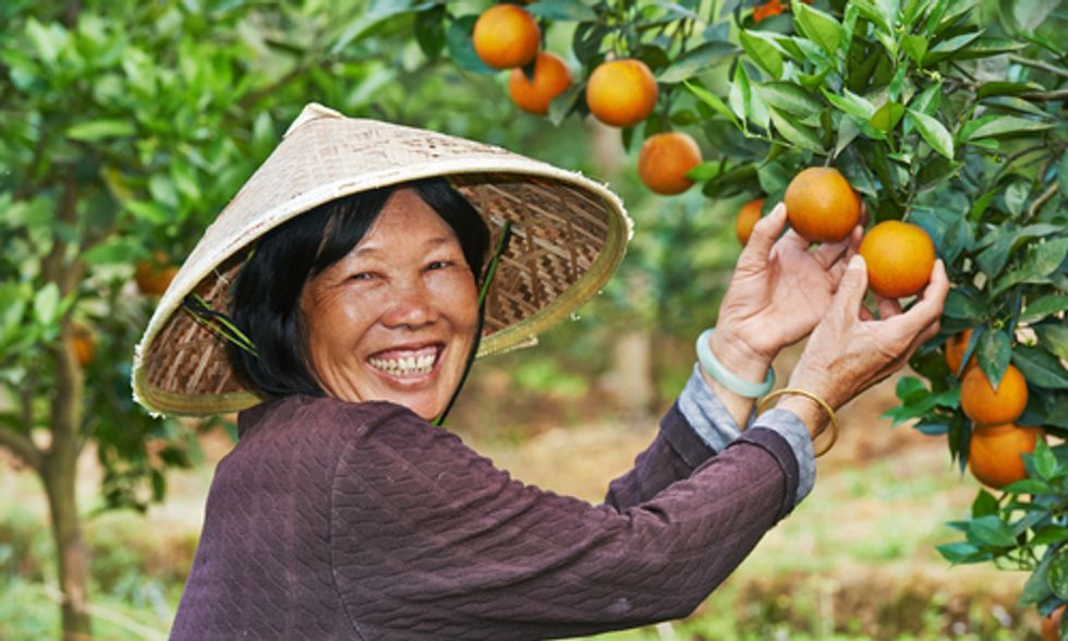 6 Initiatives That Empower Women in Agriculture