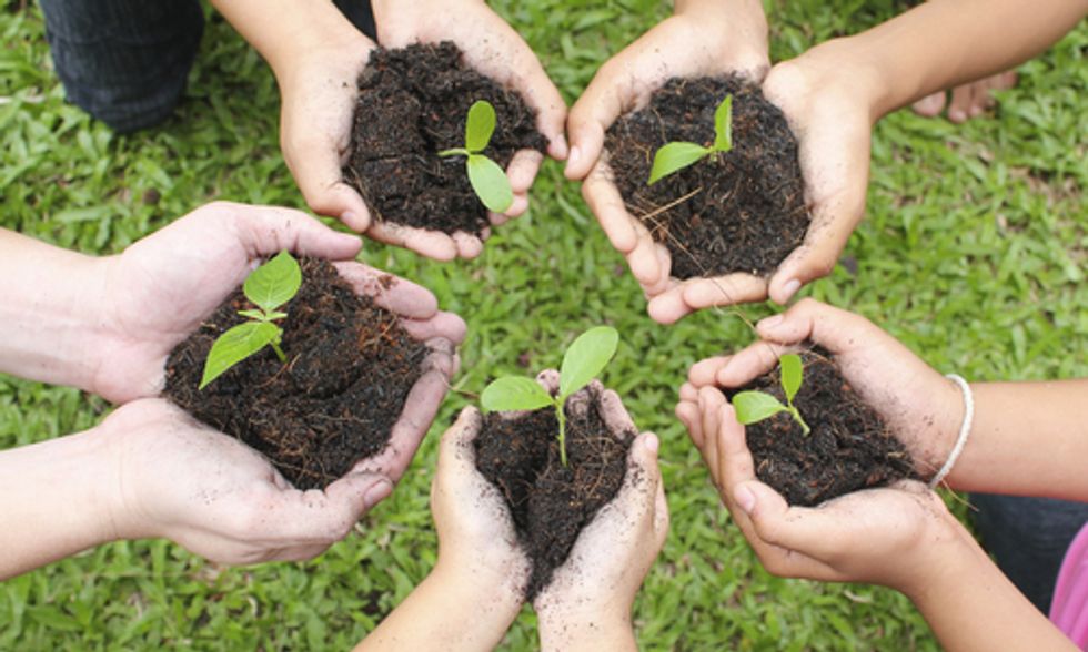 How to Teach Kids About Sustainability