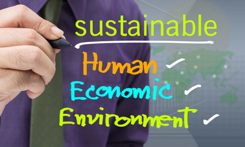 Realities of Shifting to a Sustainable Economy