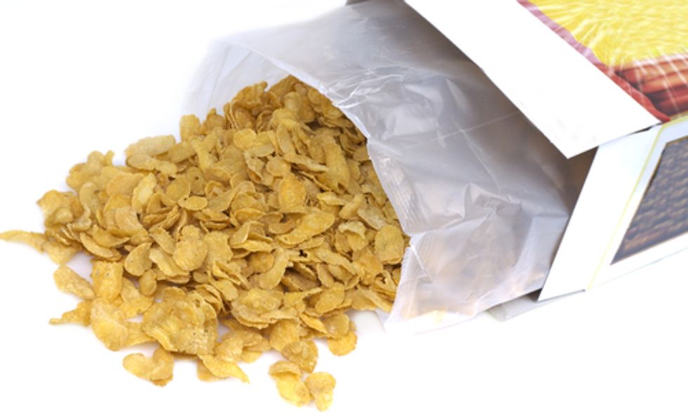 Go Green With a DIY Waste Audit