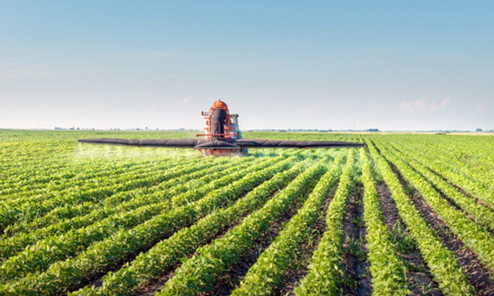‘Extreme Levels’ of Monsanto’s Roundup Herbicide Found in Soy Plants