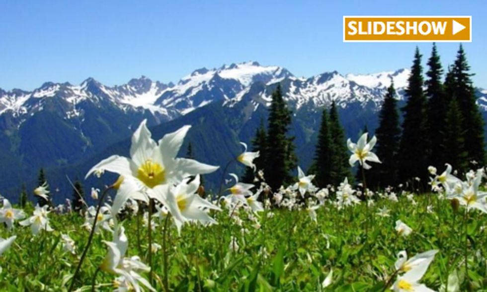 Go Wild for National Park Week: April 19-27