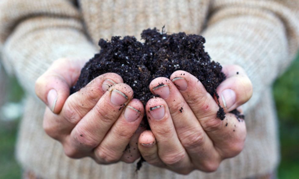 How Organic Farming Can Reverse Climate Change