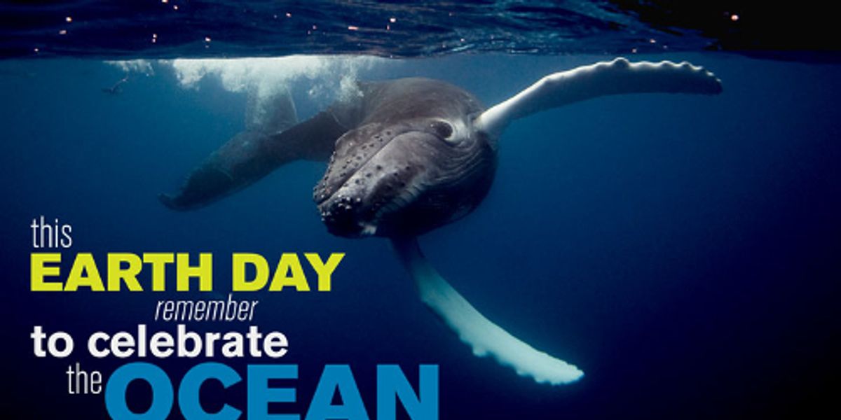 Don’t the Ocean on Earth Day EcoWatch
