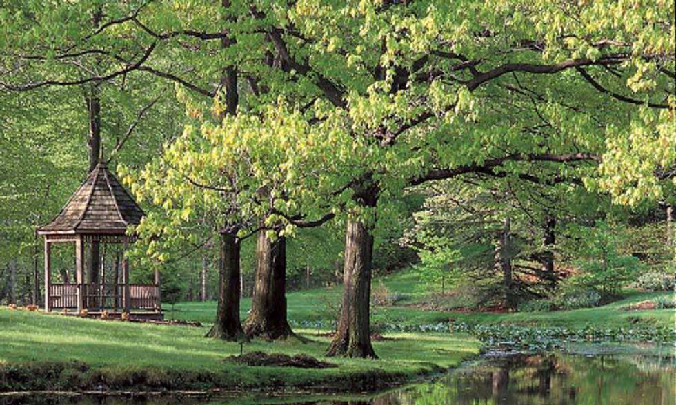 Join in Arbor Day Festivities With Holden Arboretum