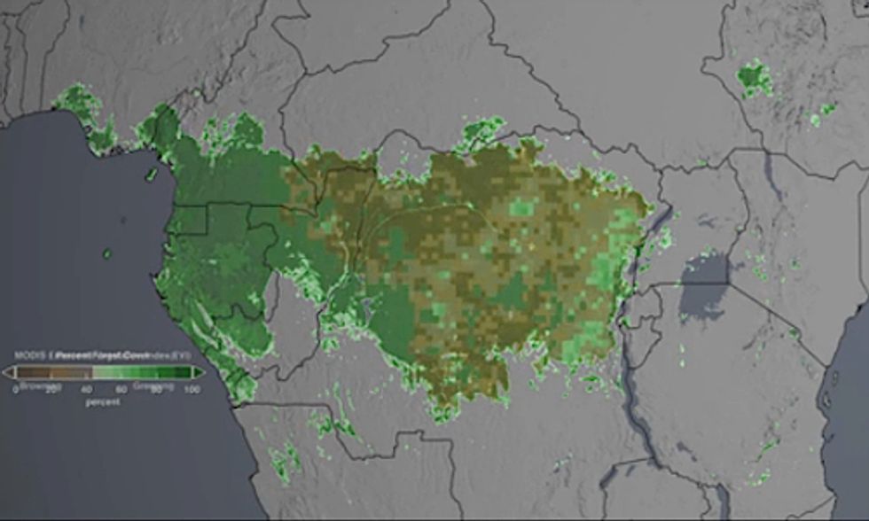 NASA Satellite Images Show Climate Change Accelerates ‘Browning’ of Congo Rainforest