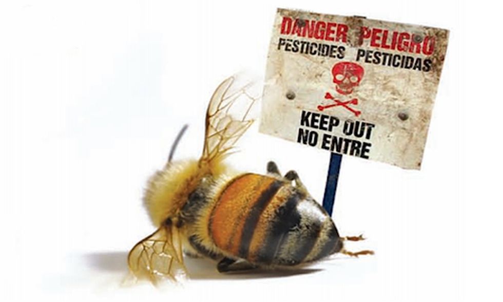 7 PR Tricks Pesticide Companies Use to Spin Bee Crisis