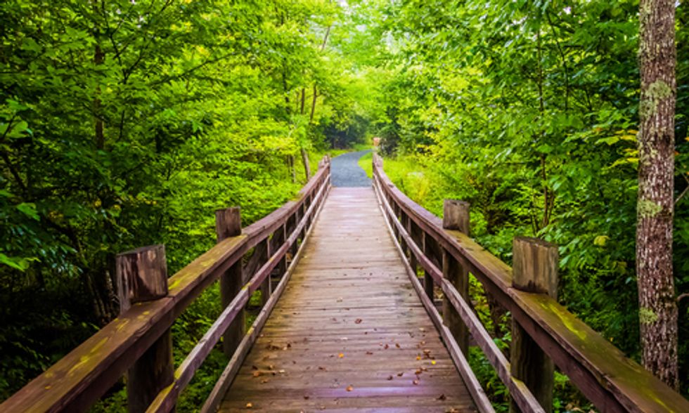 Doctors Prescribe Spending Time In Parks