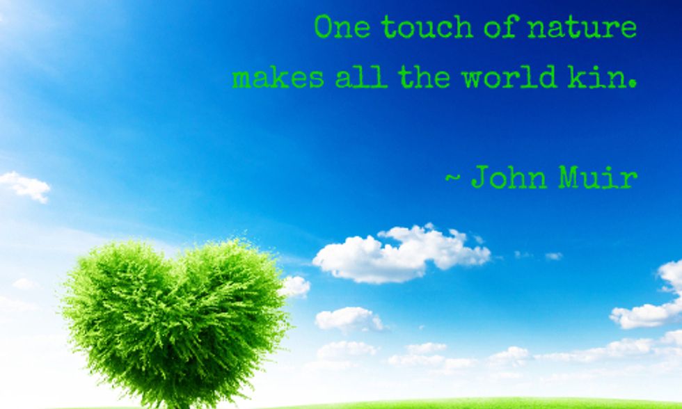 Celebrate 50+ Green Holidays