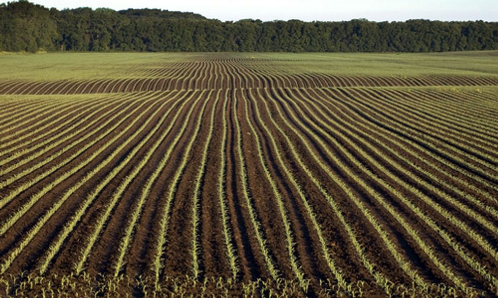 Nitrate Monologues: Stories From Water and Farm Frontlines in Iowa