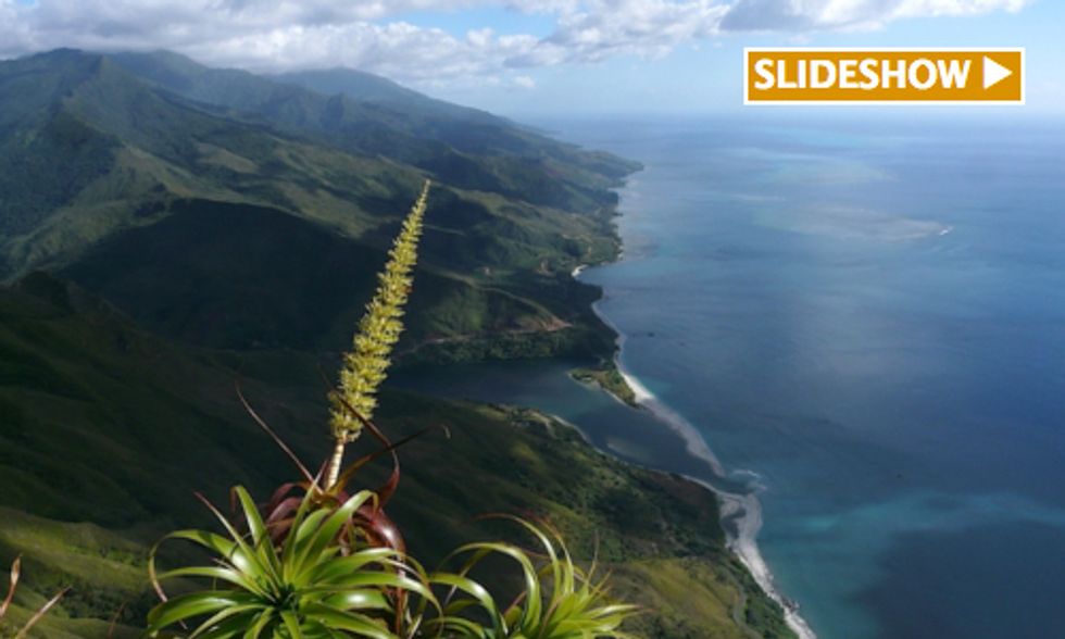 Historic Moment in Marine Conservation: New Caledonia Creates World's Largest Protected Area
