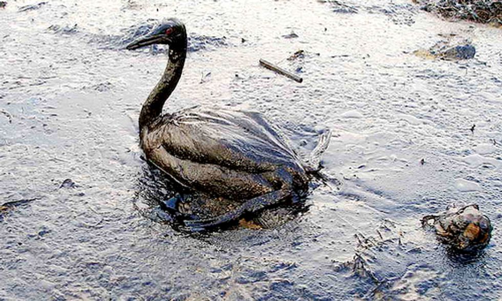 Kinder Morgan Claims Oil Spills Can Have ‘Positive' Effects