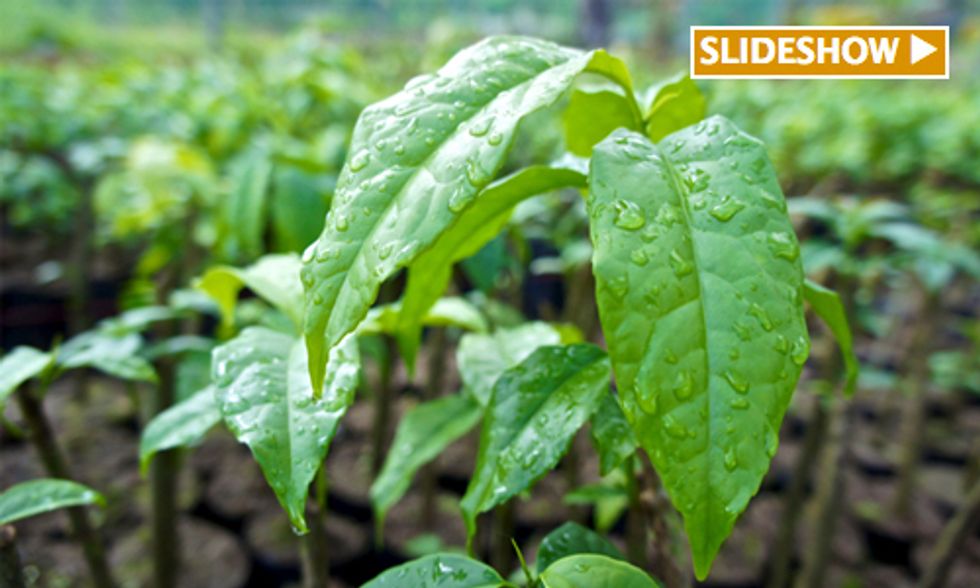Social Enterprise 'Fully Alive' in Ecuador