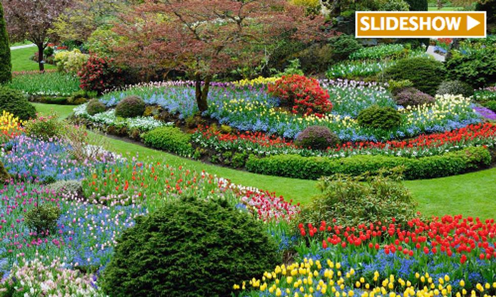 7 Awesome Gardens From Around the World