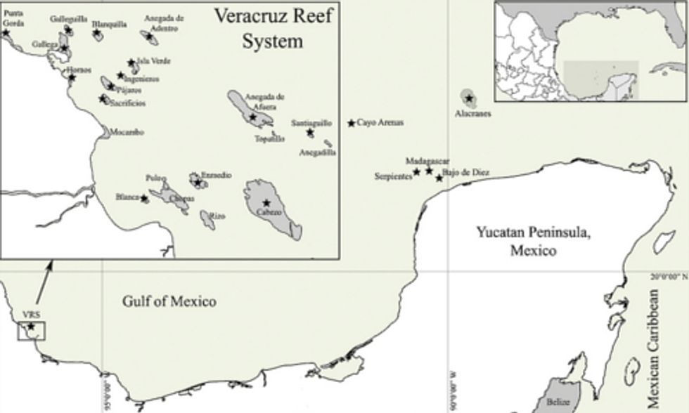 Organizations Defend Veracruz Reef System Against Proposed Port Expansion