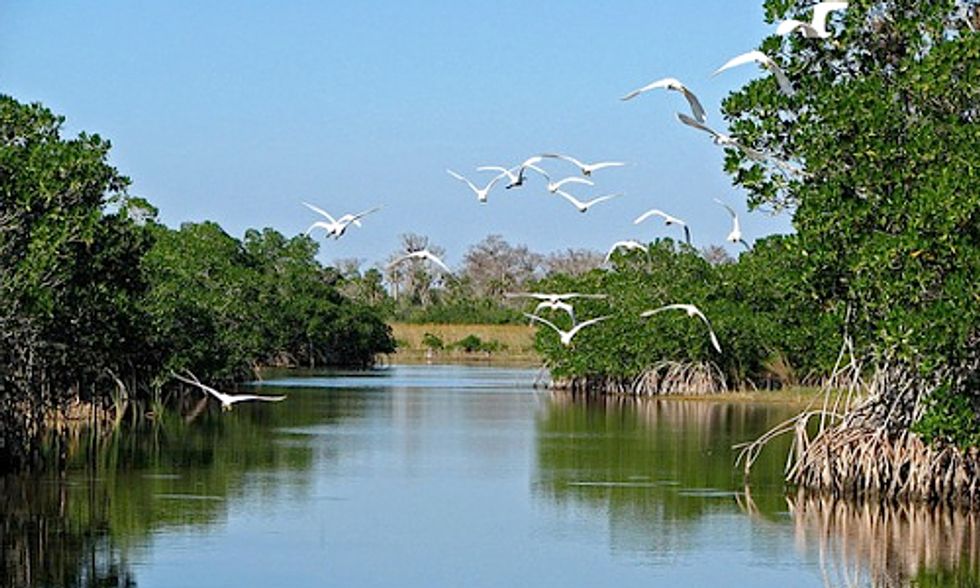 Florida Officials Halt Unauthorized 'Fracking-Like' Drilling Near the Everglades