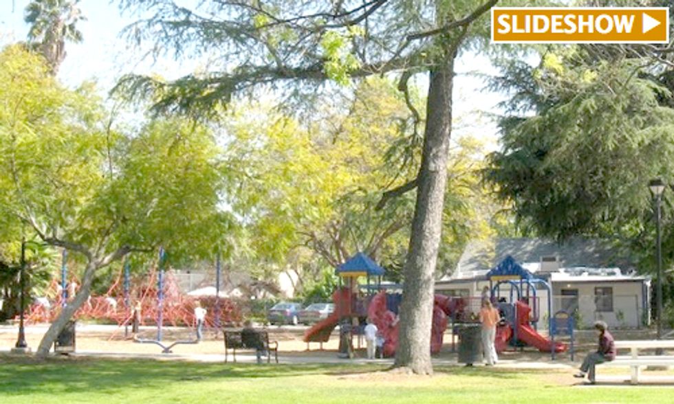 Ranking the 10 Greenest Mid-Size Cities in the U.S.