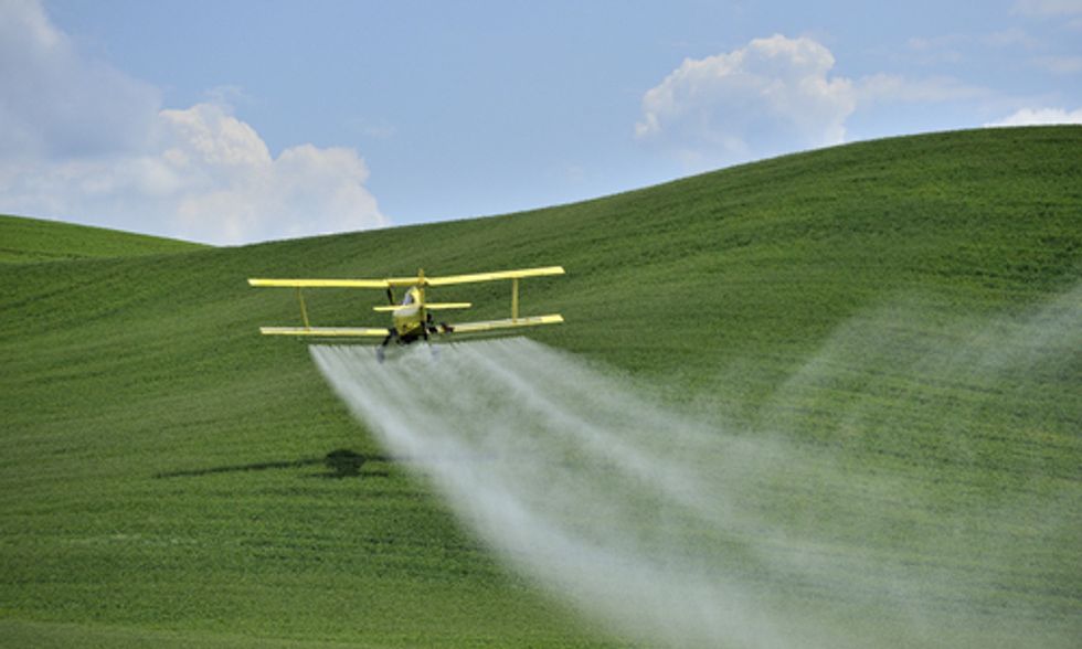 The Alarming Effects of Pesticides on Young Brains