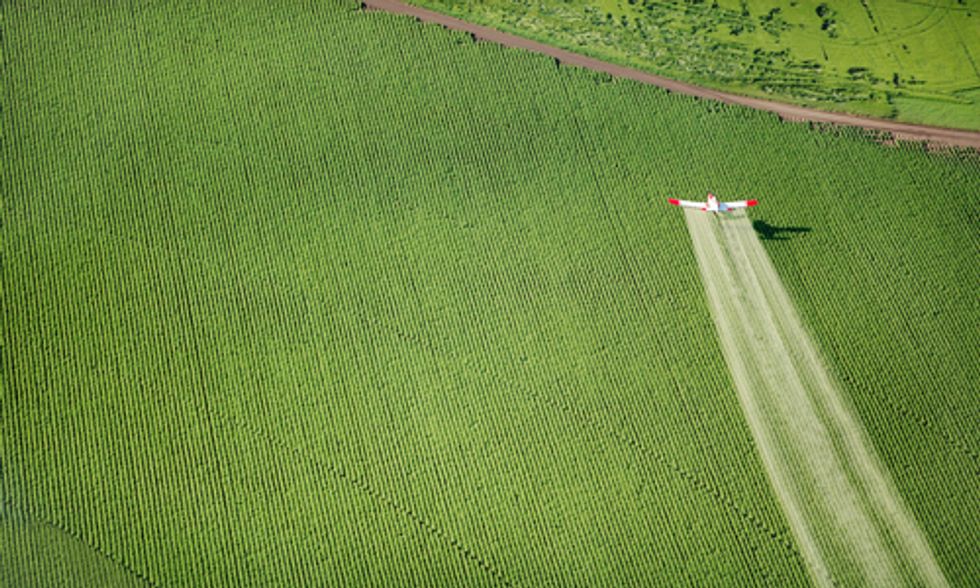 Agriculture at a Crossroads: How Food Systems Affect Biodiversity