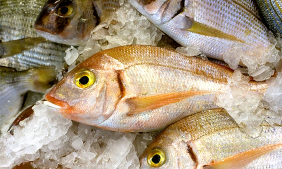 Will California Tackle Seafood Fraud Through Labeling Legislation?