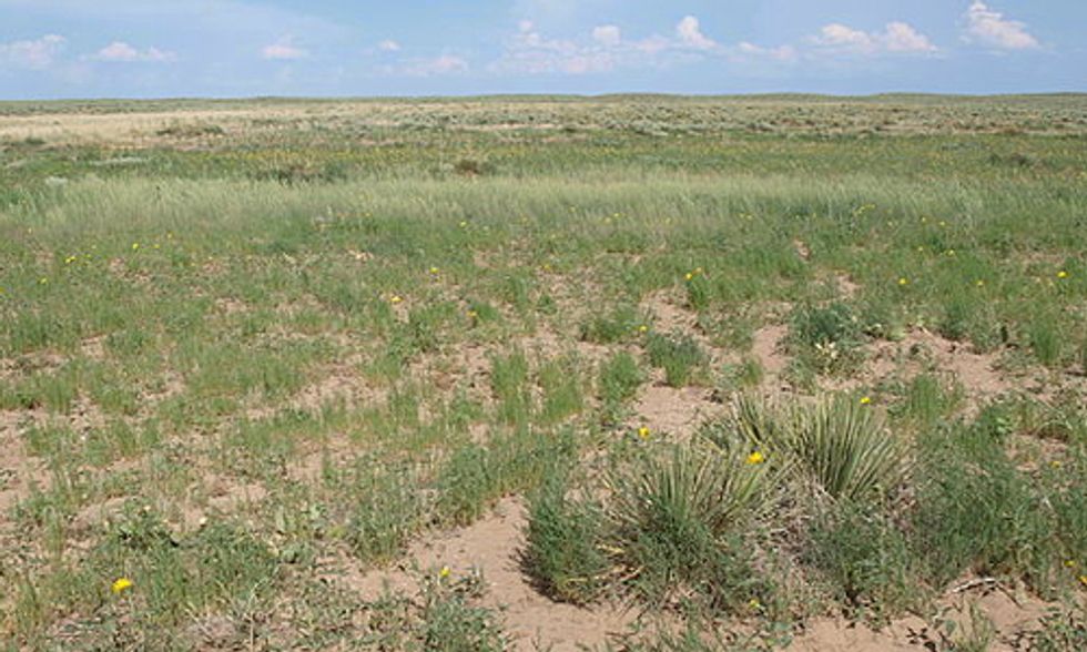 Geographers Identify Huge Sources of CO2 Buried in Soil of the Great Plains