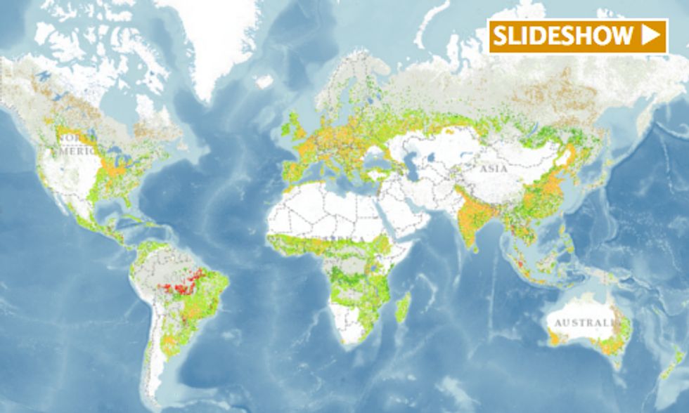 7 Places With Unexpected Forest Restoration Potential