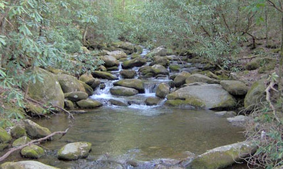Historic Federal Decision Finds West Virginia Mountaintop Removal Coal Mining Companies Guilty of Damaging Streams